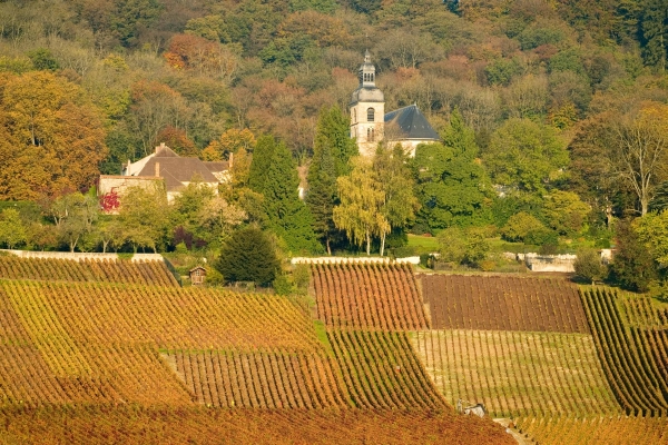 Abbey of Hautvillers – Historic hillsides