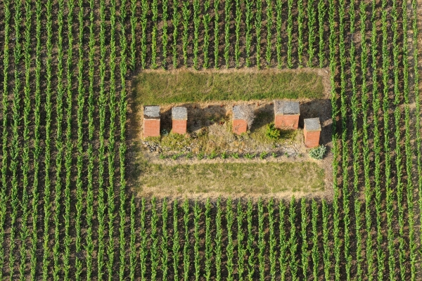 Ventilation shafts in vineyard – Historic hillsides – Aÿ