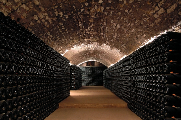 Aubois vineyard cellar, area covered by the undertaking
