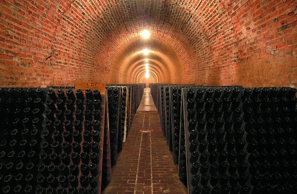 Historic hillsides Champagne cellar – Aÿ