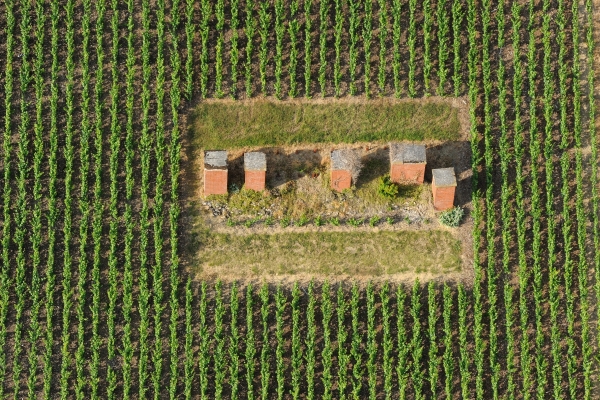 Ventilation shafts in vineyard – Historic hillsides – Aÿ