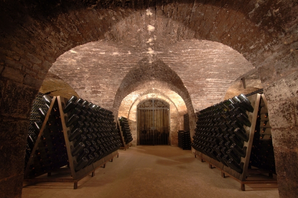 Côte des Bars Champagne cellar, area covered by the undertaking