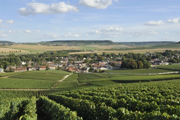 Pierry hillsides and village, area covered by the undertaking