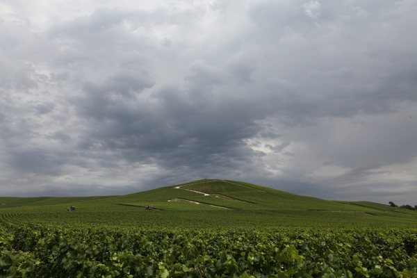 Wine-growing hillsides of Aÿ