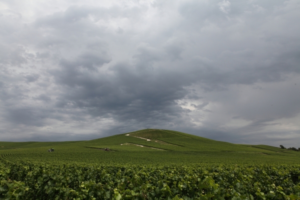 Wine-growing hillsides of Aÿ