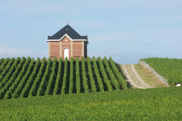 Winegrowers' hut, Mont Aigu, Cote des Blancs, area covered by the undertaking